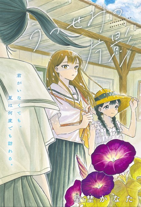 Half-Shadow of an Empty Shell Cover Image