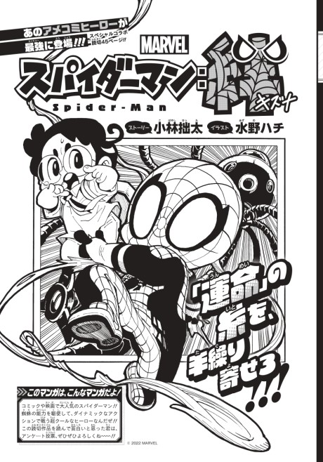 Spider Man Kizuna Cover Image
